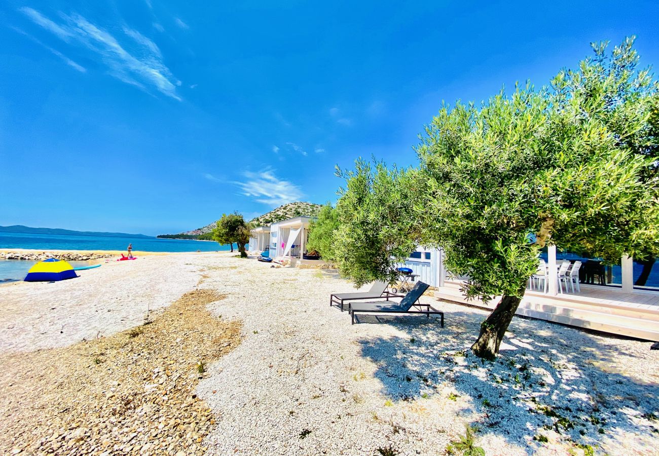 This is the beautiful surroundings of the holiday home in Croatia. It is surrounded by great olive trees.