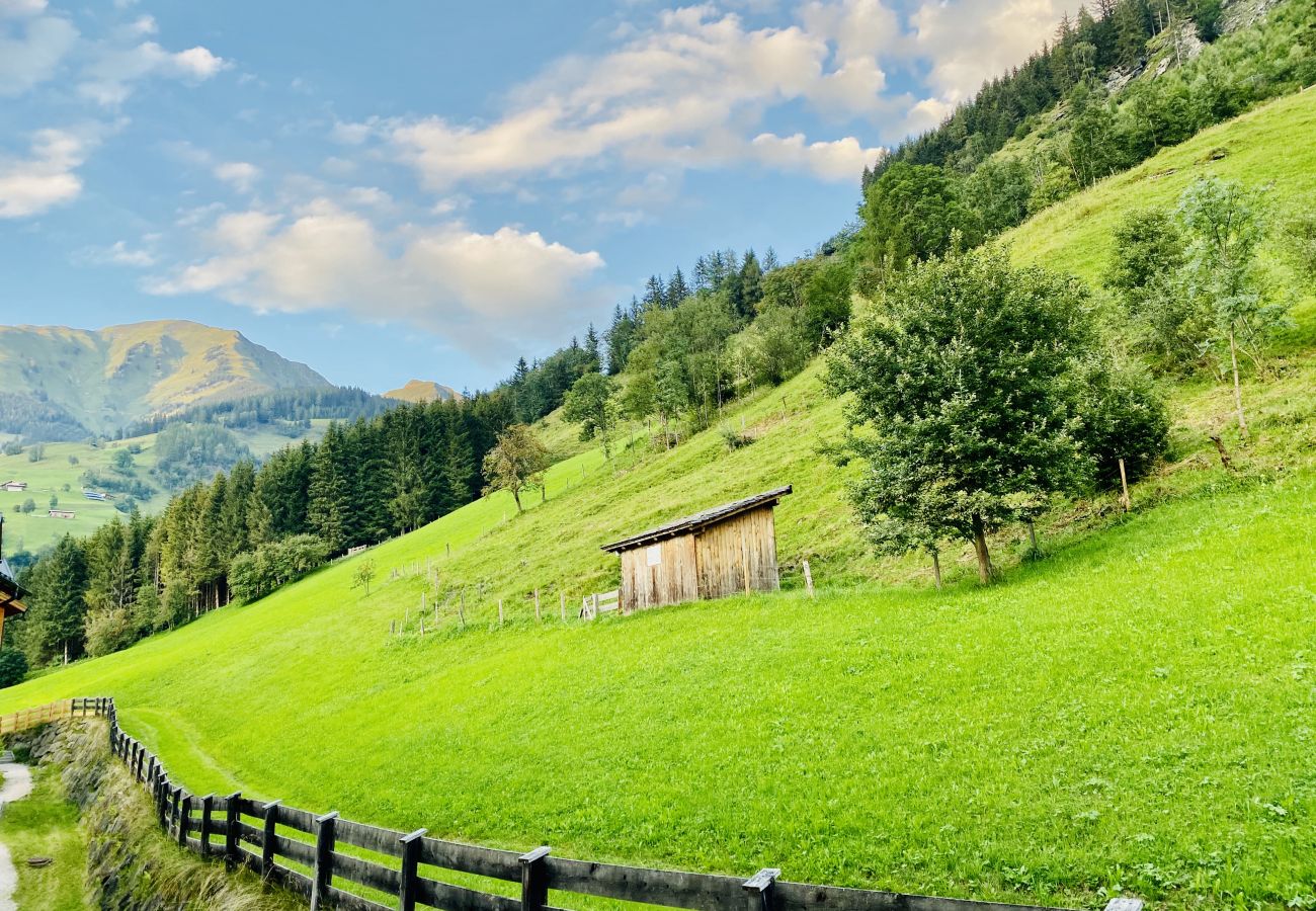 Everything is green in the warm season, the beautiful nature of the Austrian mountains is right next to the apartment