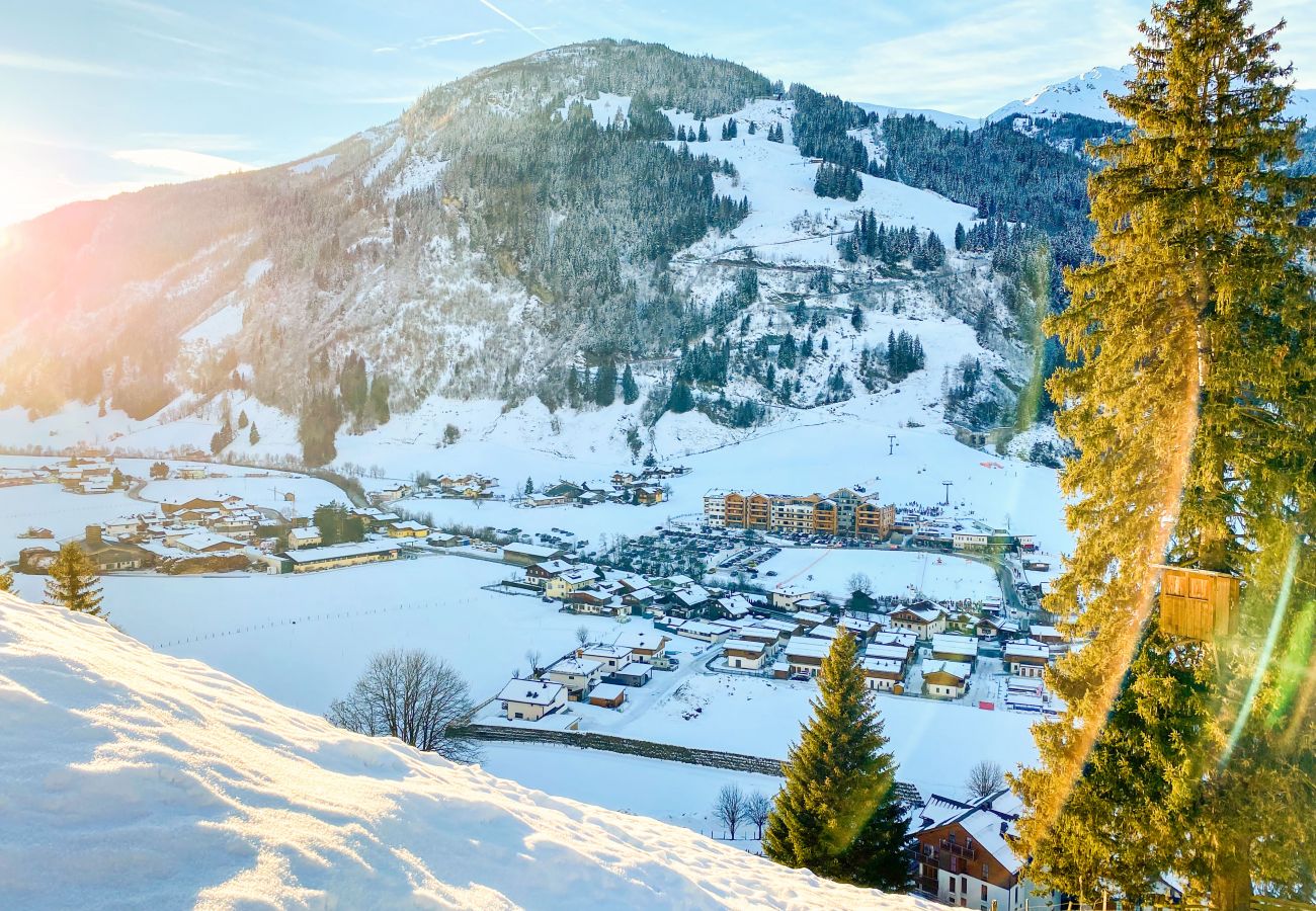 Near the apartment there is a ski run where you have an excellent view of the city while travelling.