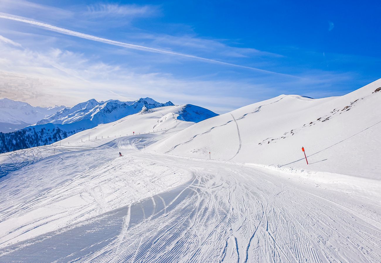 On top of the mountain you will find fantastically beautiful ski slopes, which are not far from the apartment.