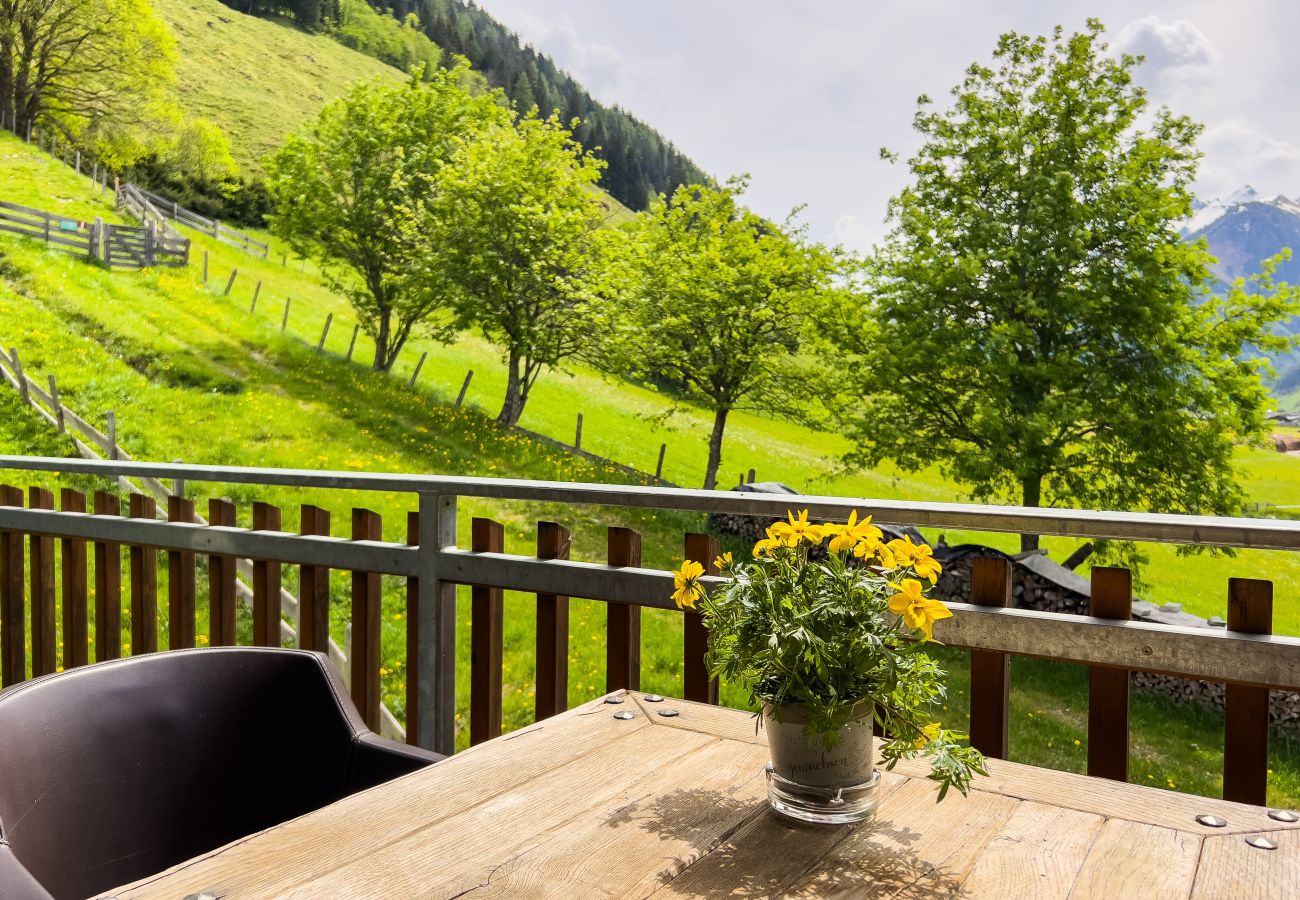 Apartment in Rauris - Modern Mountain Apart 5 - an der Skipiste