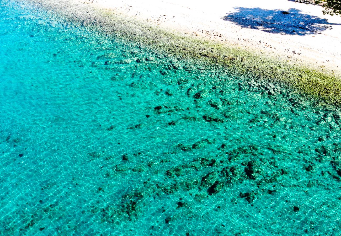 Kommen Sie hierher, um das große blaue Meer und seine Schönheiten zu entdecken. 